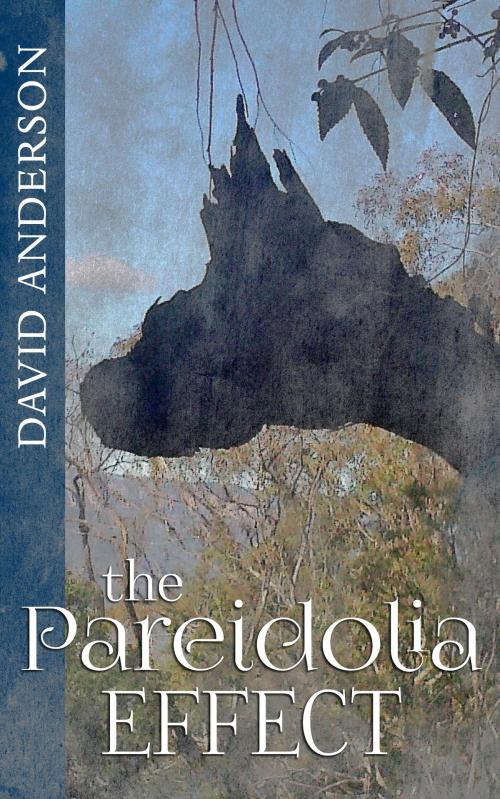 Cover of the book The Pareidolia Effect by David Anderson, MoshPit Publishing