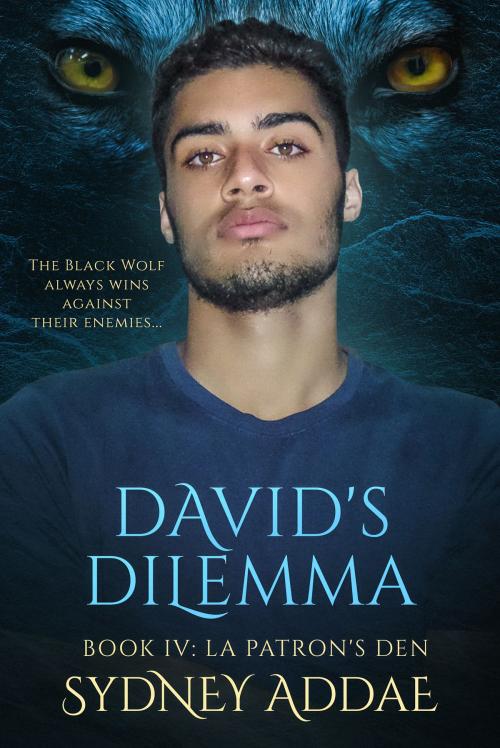 Cover of the book David's Dilemma by Sydney Addae, Sydney Addae