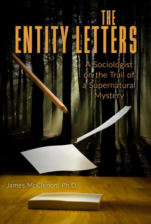 Cover of the book THE ENTITY LETTERS by James McClenon, Anomalist Books