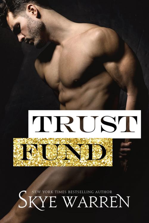 Cover of the book Trust Fund by Skye Warren, Book Beautiful