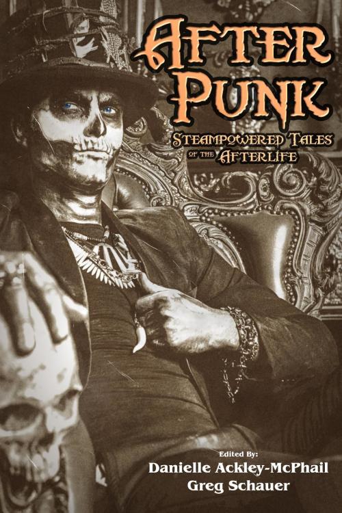 Cover of the book After Punk by Jody Lynn Nye, Gail Z Martin, eSpec Books