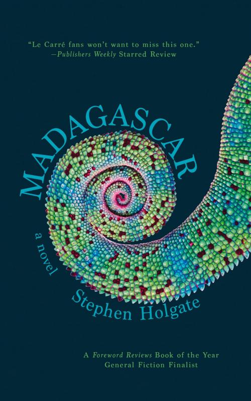 Cover of the book Madagascar by Stephen Holgate, Amphorae Publishing Group, LLC