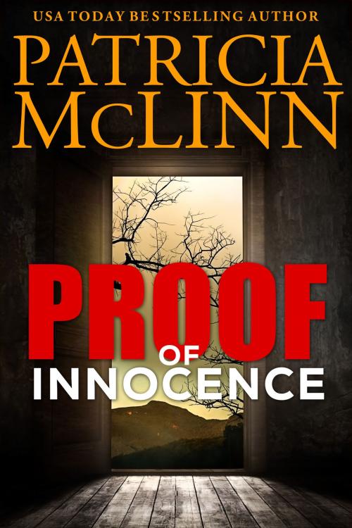 Cover of the book Proof of Innocence by Patricia McLinn, Craig Place Books