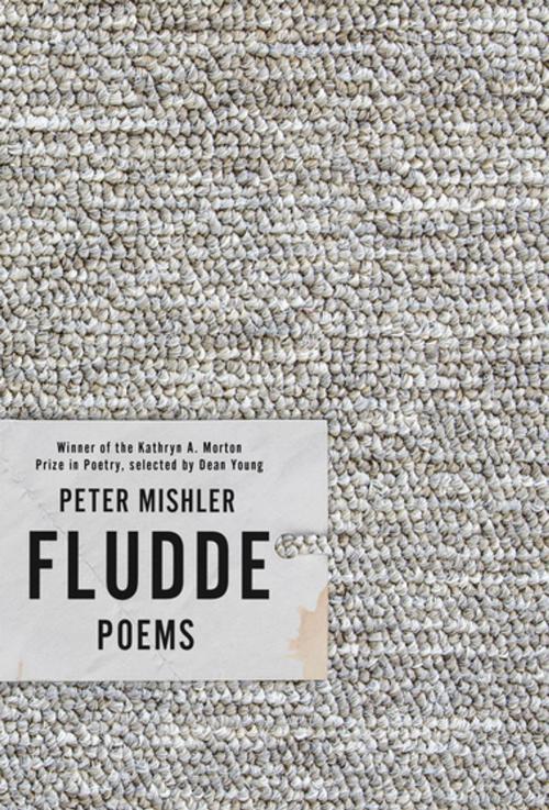 Cover of the book Fludde by Peter Mishler, Dean Young, Sarabande Books