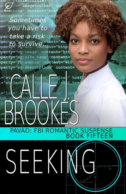Cover of the book Seeking by Calle J. Brookes, Calle J. Brookes