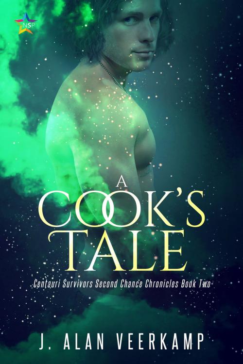 Cover of the book A Cook's Tale by J. Alan Veerkamp, Nine Star Press