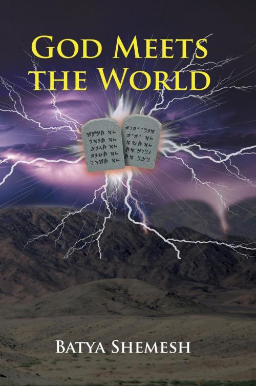 Cover of the book God Meets the World by Batya Shemesh, Toplink Publishing, LLC