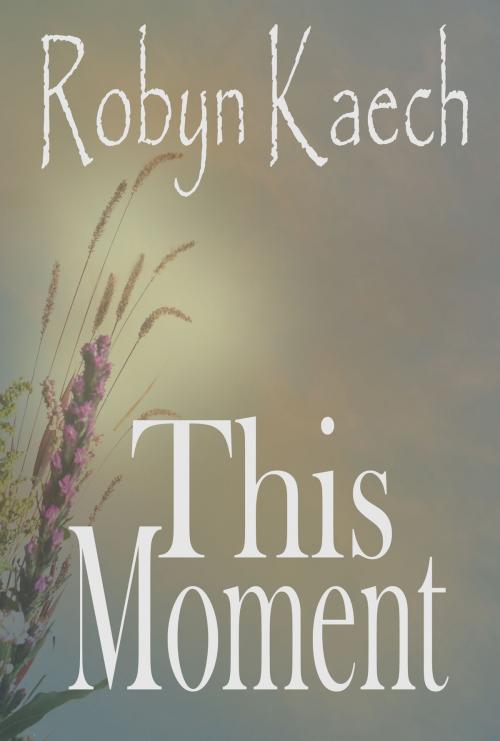 Cover of the book This Moment by Robyn Kaech, Halstad House