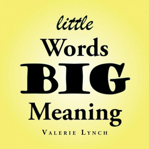 Cover of the book Little Words Big Meaning by Valerie Lynch, Balboa Press