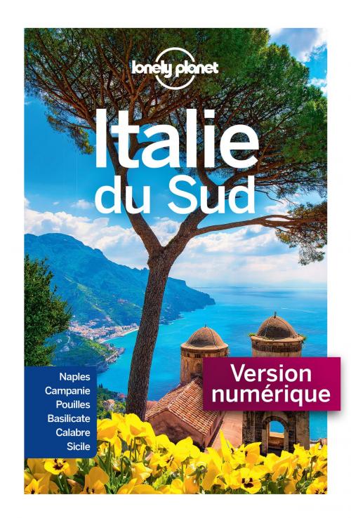 Cover of the book Italie du Sud 4ed by LONELY PLANET FR, edi8