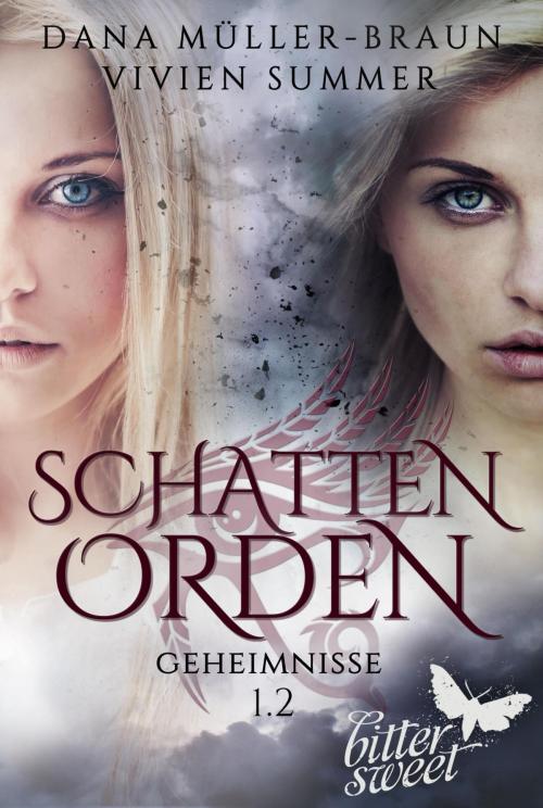 Cover of the book SCHATTENORDEN 1.2: Geheimnisse by Dana Müller-Braun, Vivien Summer, Carlsen