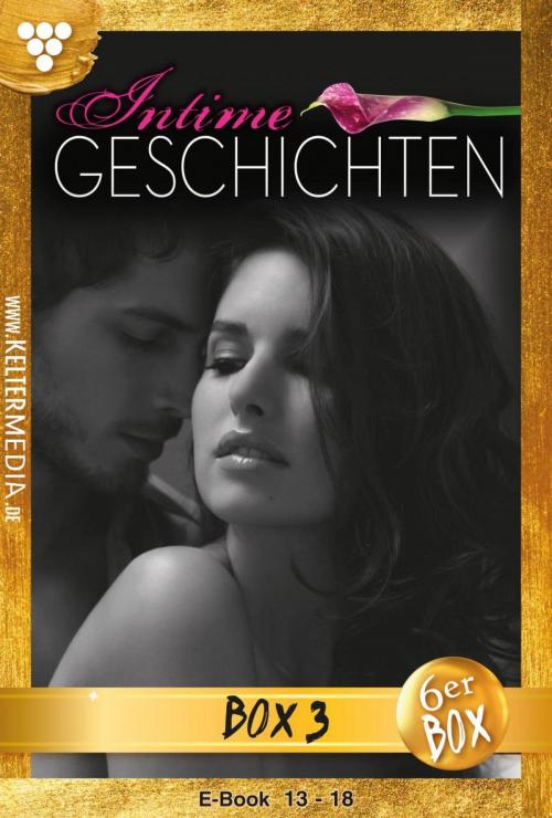 Cover of the book Intime Geschichten Jubiläumsbox 3 – Erotikroman by Susan Perry, Kelter Media