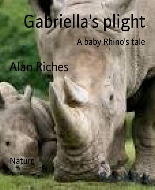 Cover of the book Gabriella's plight by Alan Riches, BookRix