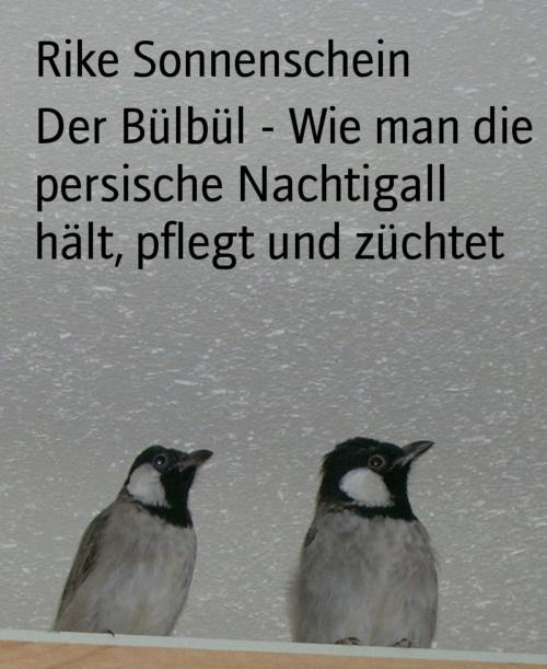 Cover of the book Der Bülbül - Wie man die persische Nachtigall hält, pflegt und züchtet by Rike Sonnenschein, BookRix