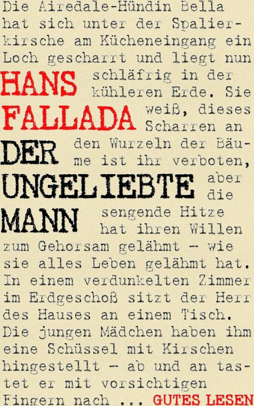 Cover of the book Der ungeliebte Mann by Hans Fallada, epubli