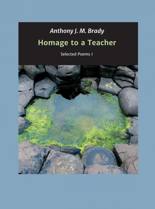 Cover of the book Homage to a Teacher by Anthony J. M. Brady, tredition