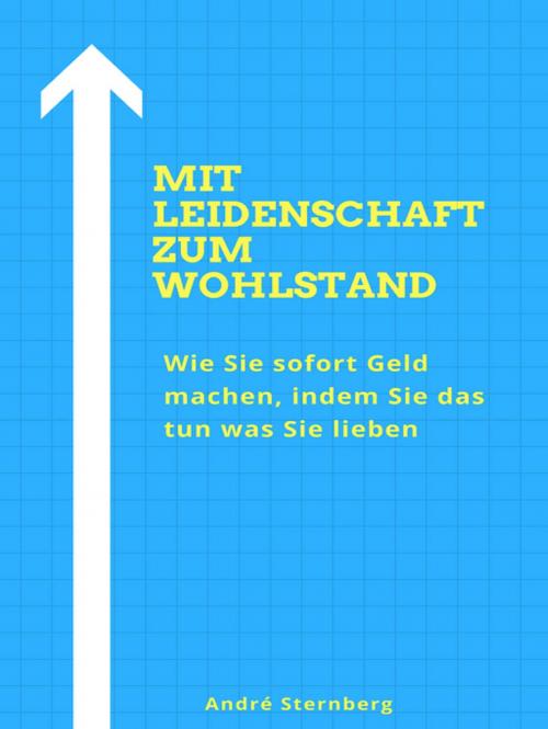 Cover of the book Mit Leidenschaft zum Wohlstand by Andre Sternberg, Books on Demand