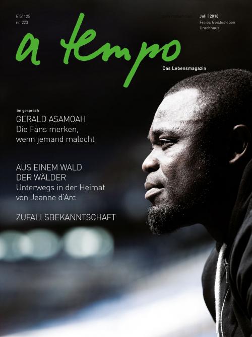 Cover of the book a tempo - Das Lebensmagazin by Maria A. Kafitz, a tempo. Das Lebensmagazin