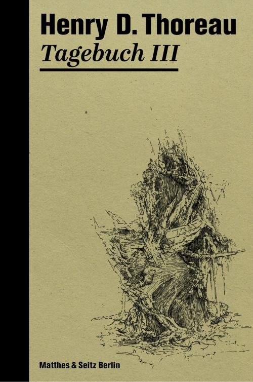 Cover of the book Tagebuch III by Henry David Thoreau, Dieter Schulz, Matthes & Seitz Berlin Verlag