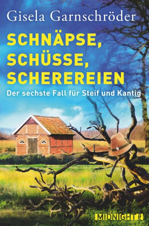 Cover of the book Schnäpse, Schüsse, Scherereien by Gisela Garnschröder, Midnight