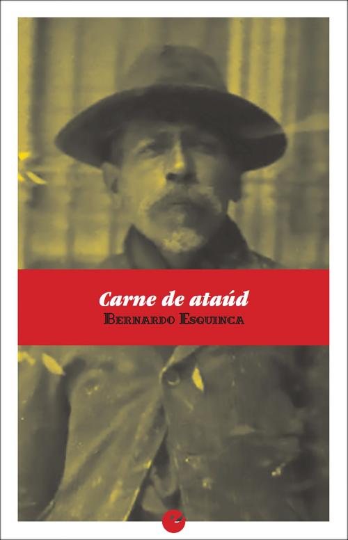 Cover of the book Carne de ataúd by Bernardo Esquinca, Punto de Vista