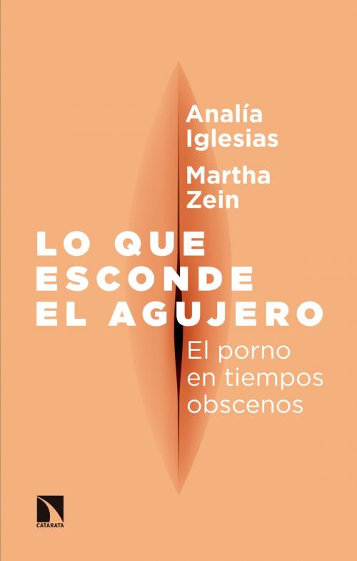 Cover of the book Lo que esconde el agujero by Martha Zein, Analía Iglesias, Los Libros de La Catarata