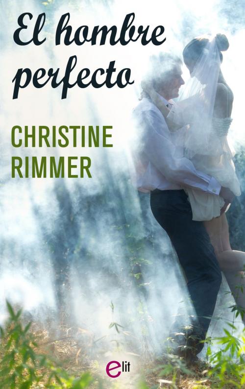 Cover of the book El hombre perfecto by Christine Rimmer, Harlequin, una división de HarperCollins Ibérica, S.A.
