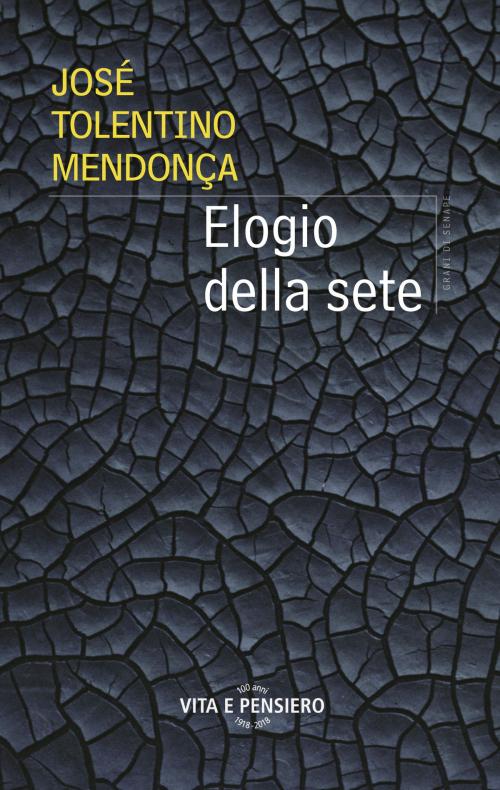 Cover of the book Elogio della sete by José Tolentino Mendonça, Vita e Pensiero