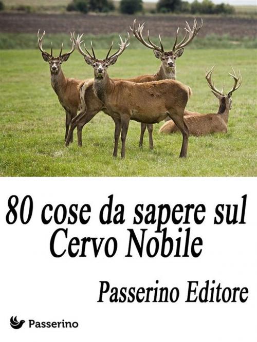 Cover of the book 80 cose da sapere sul Cervo Nobile by Passerino Editore, Passerino