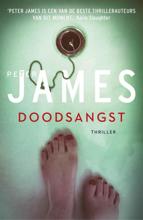 Cover of the book Doodsangst by Peter James, VBK Media
