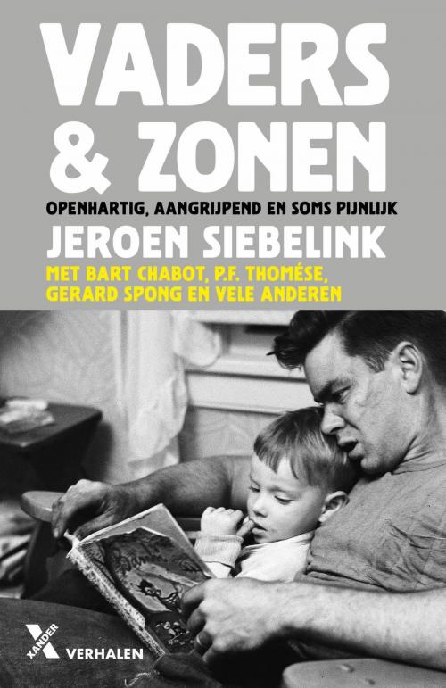 Cover of the book Vaders & zonen by Jeroen Siebelink, Xander Uitgevers B.V.