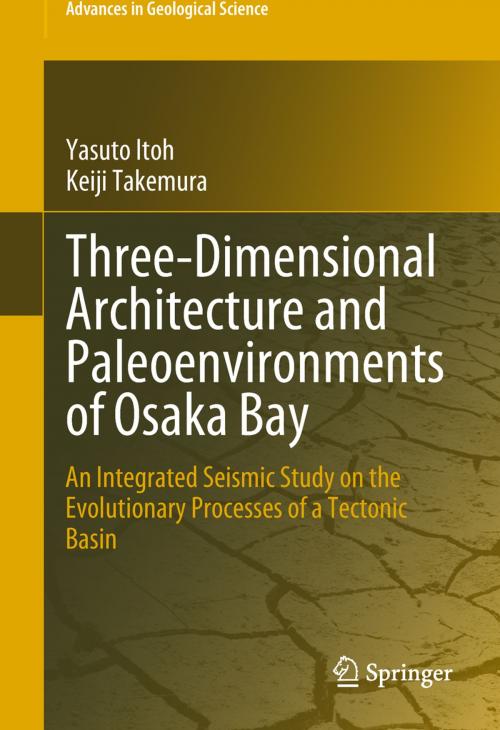 Cover of the book Three-Dimensional Architecture and Paleoenvironments of Osaka Bay by Yasuto Itoh, Keiji Takemura, Springer Singapore