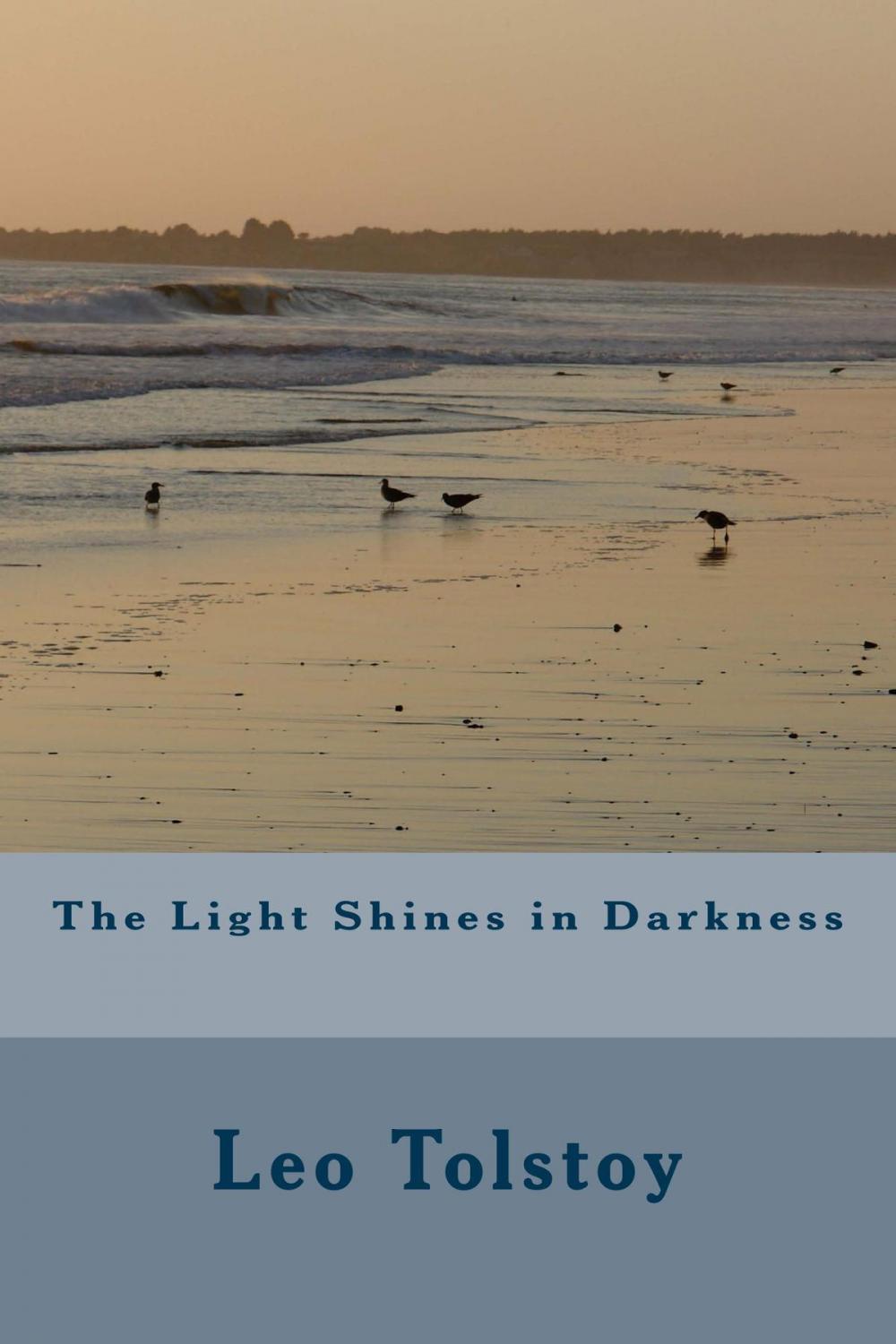 Big bigCover of The Light Shines in Darkness