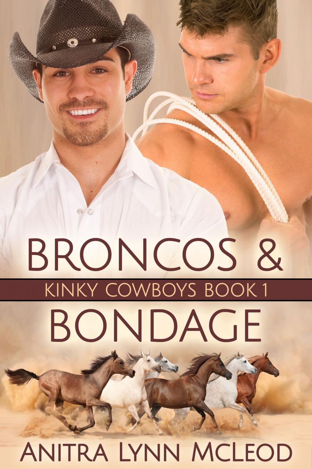 Big bigCover of Broncos & Bondage