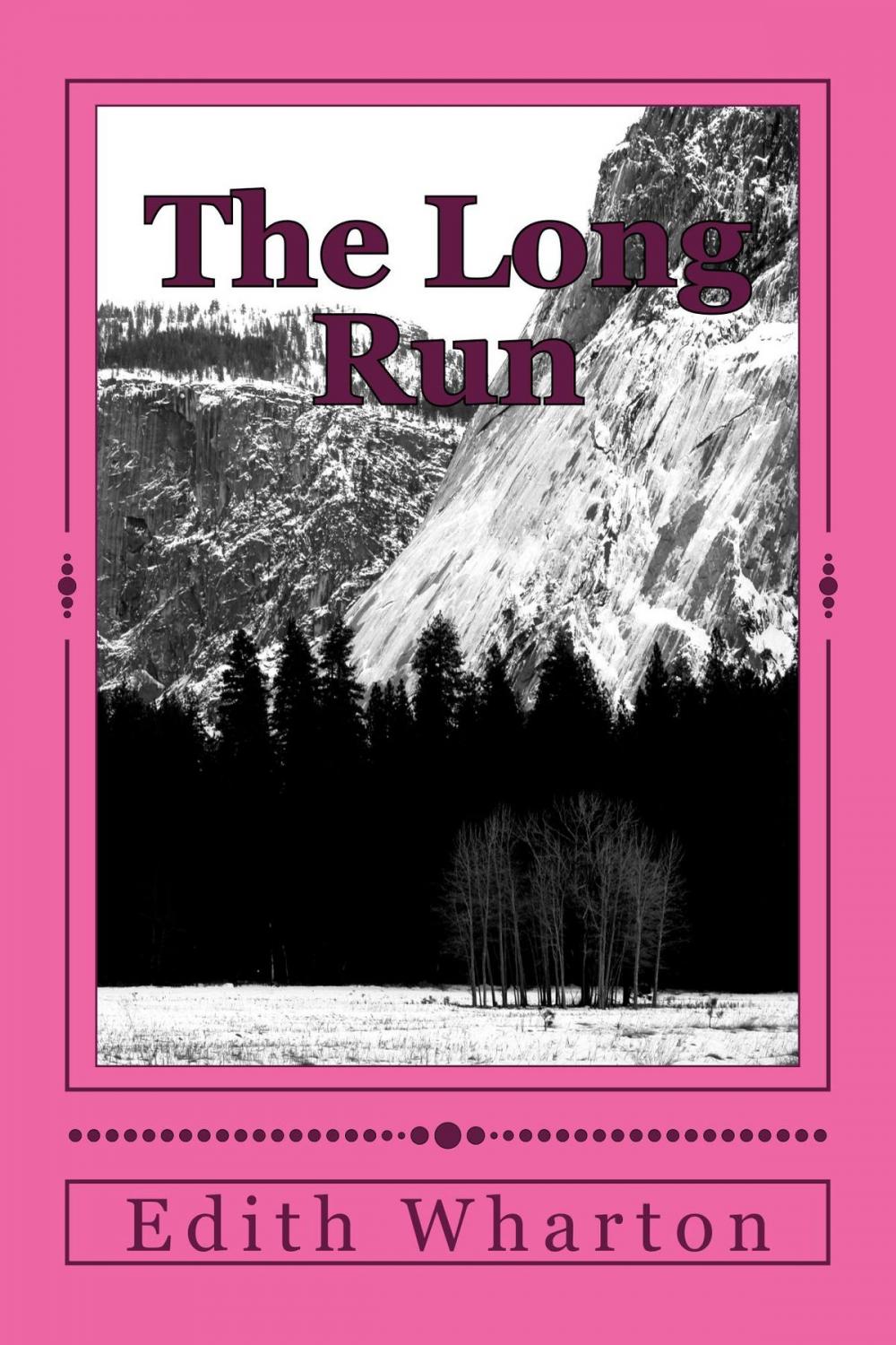 Big bigCover of The Long Run
