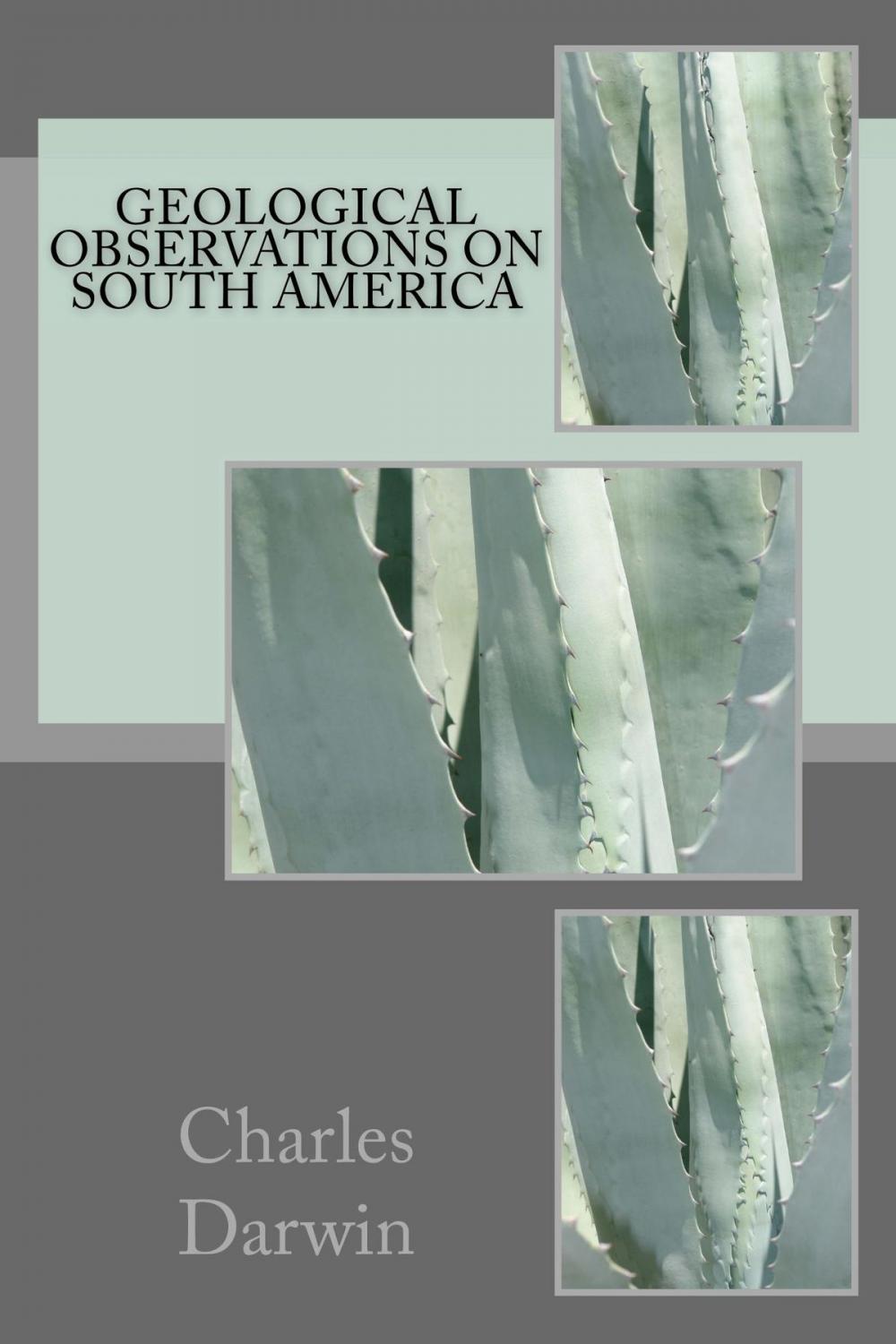Big bigCover of Geological Observations on South America