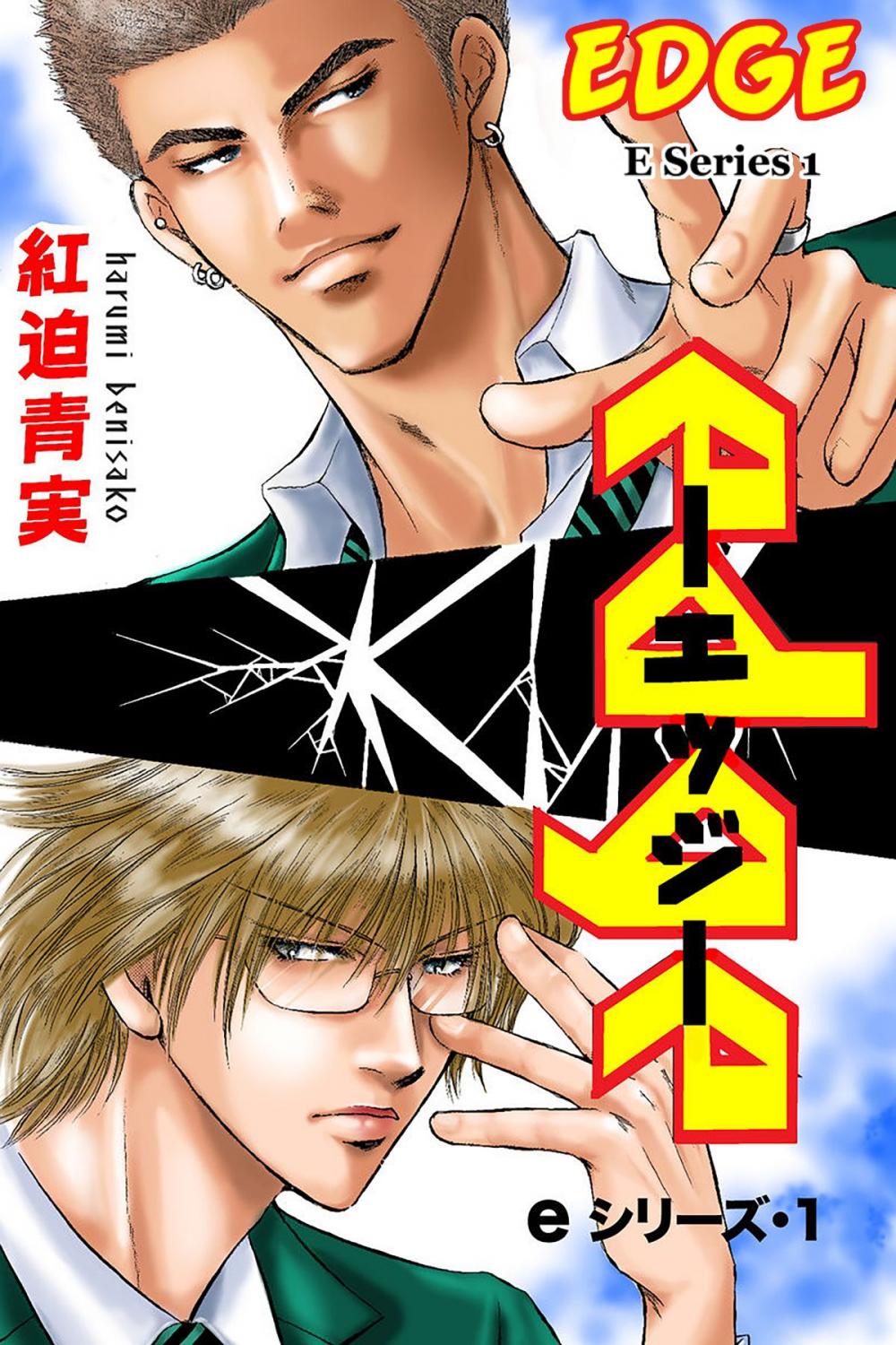 Big bigCover of E-Series (Yaoi Manga)