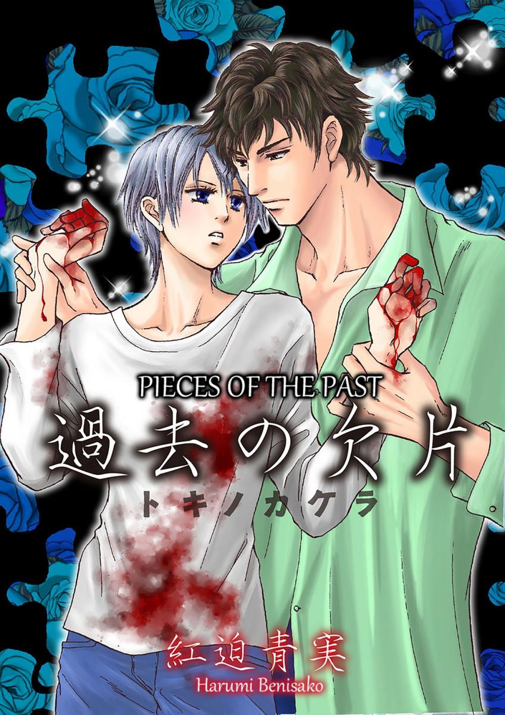 Big bigCover of Pieces of The Past (Yaoi Manga)
