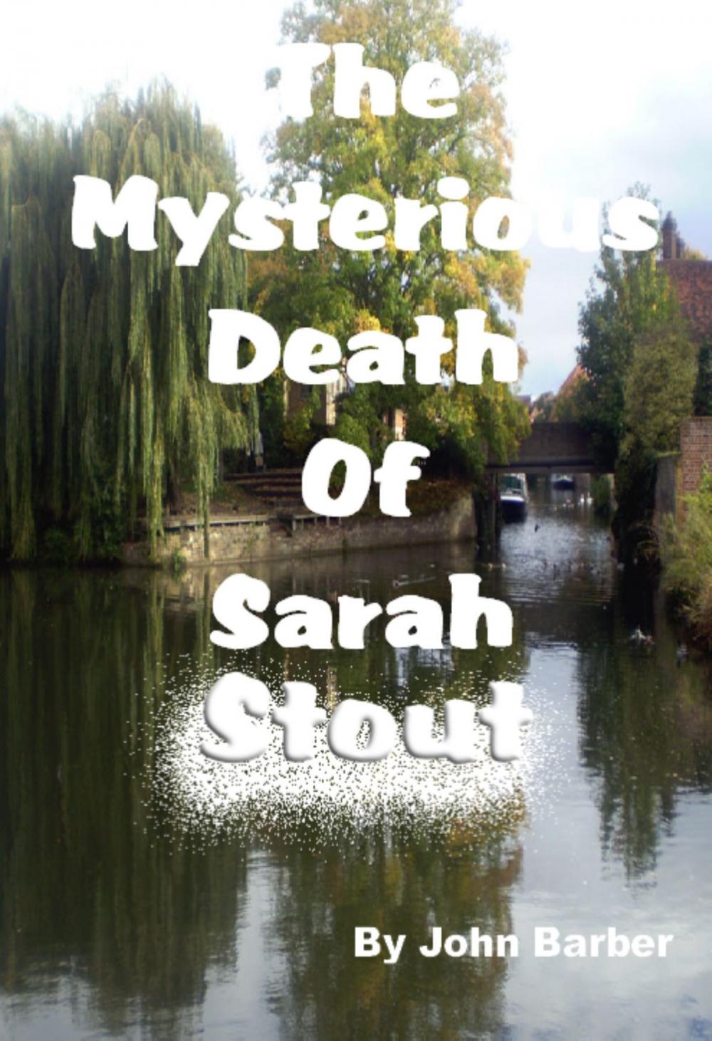 Big bigCover of The Mysterious Death of Sarah Stout