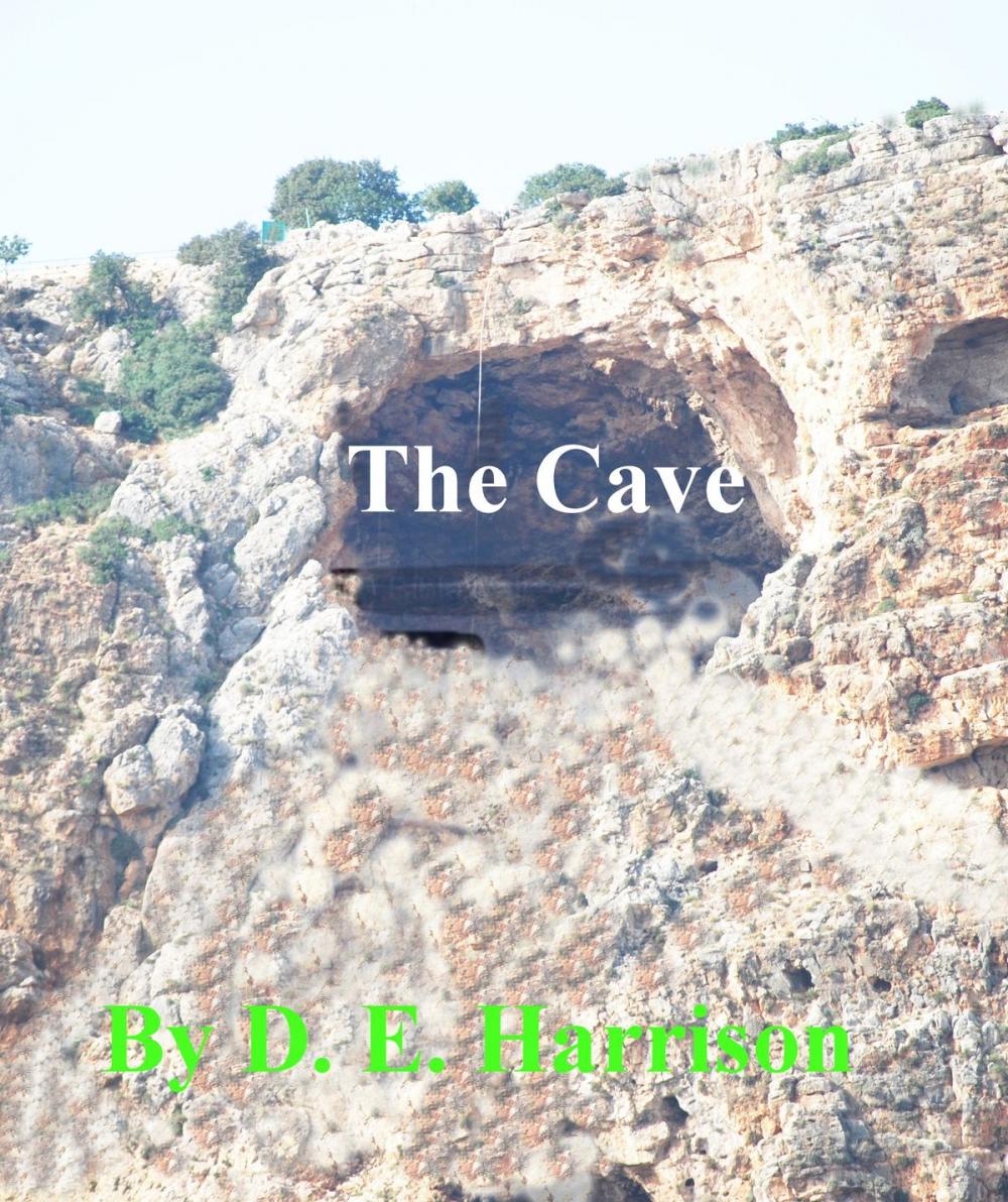 Big bigCover of The Cave