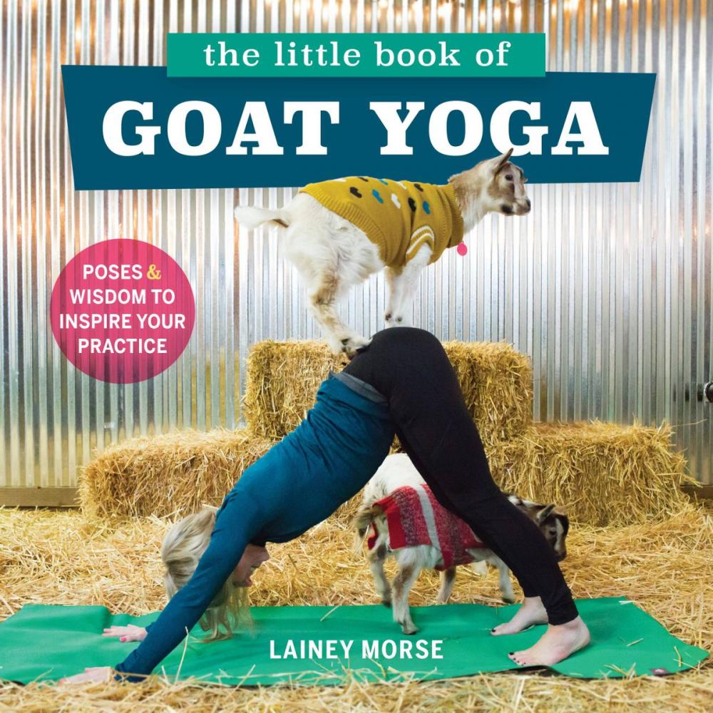 Big bigCover of The Little Book of Goat Yoga