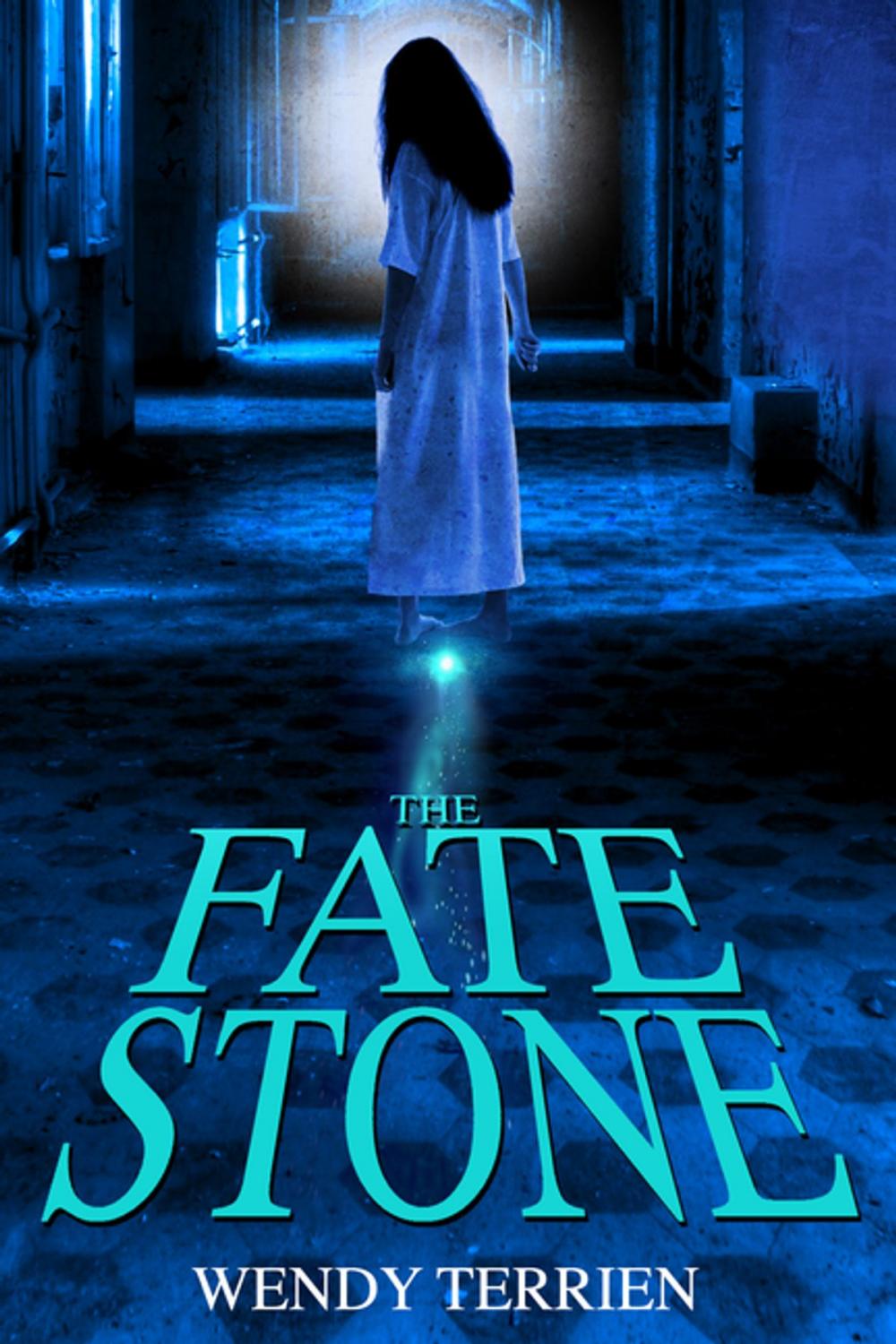 Big bigCover of The Fate Stone