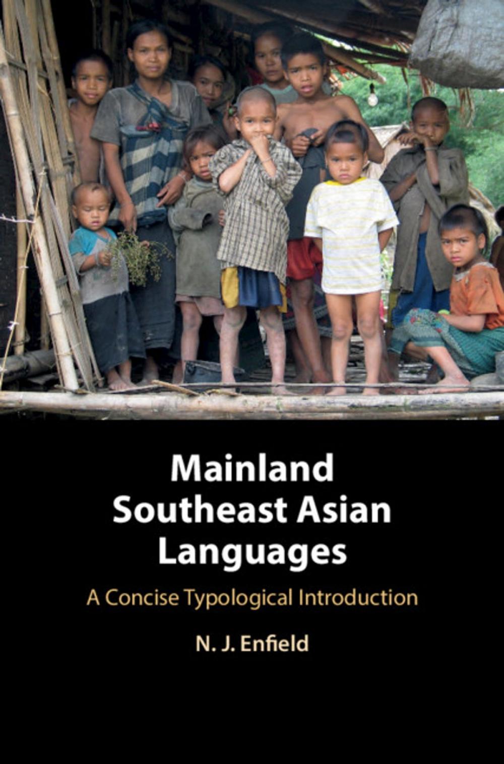 Big bigCover of Mainland Southeast Asian Languages