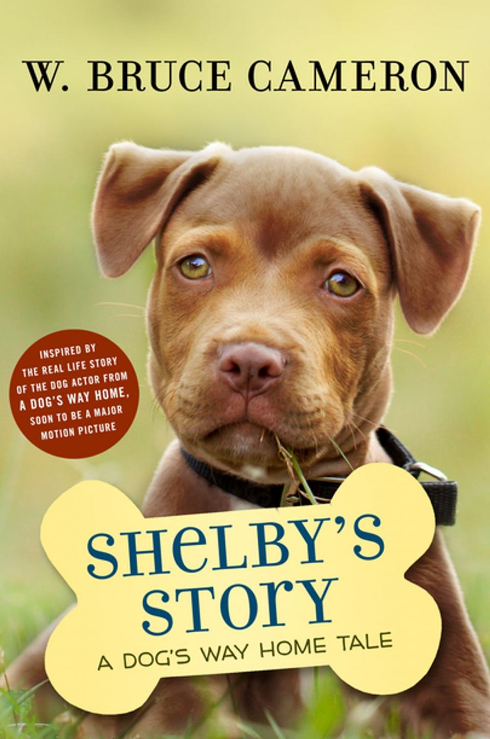 Big bigCover of Shelby's Story