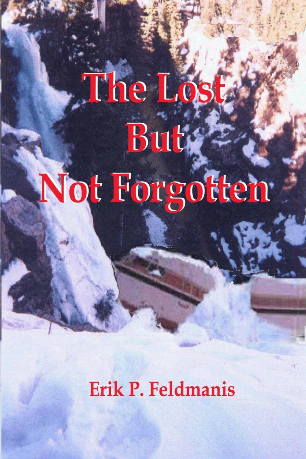 Big bigCover of The Lost But Not Forgotten