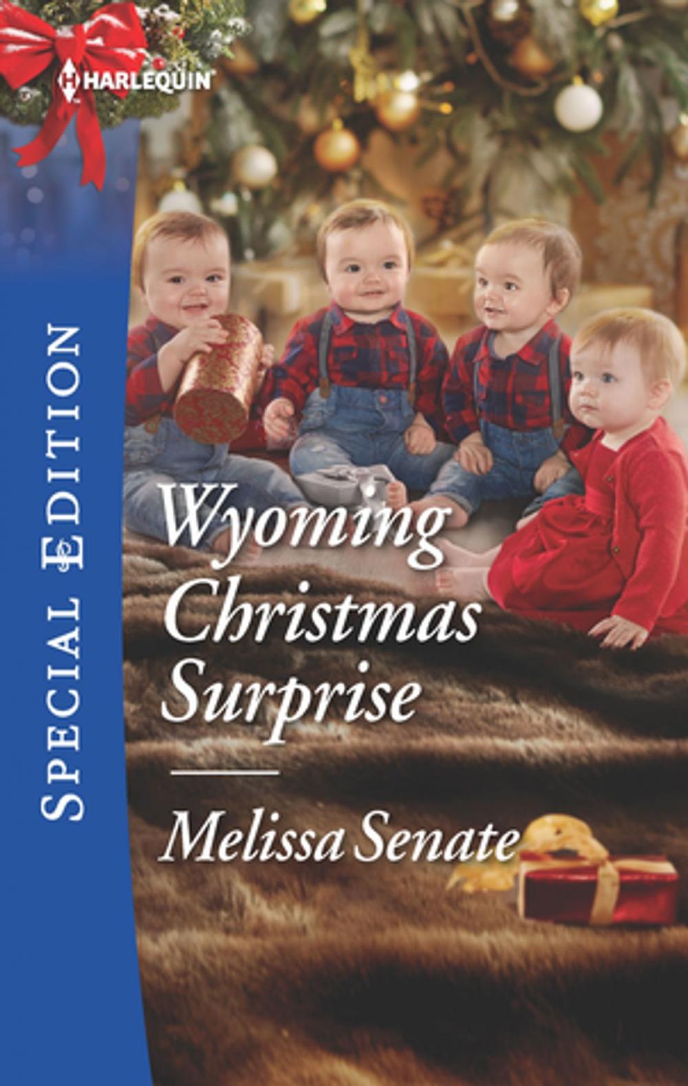 Big bigCover of Wyoming Christmas Surprise