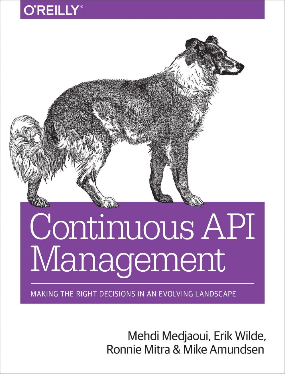 Big bigCover of Continuous API Management