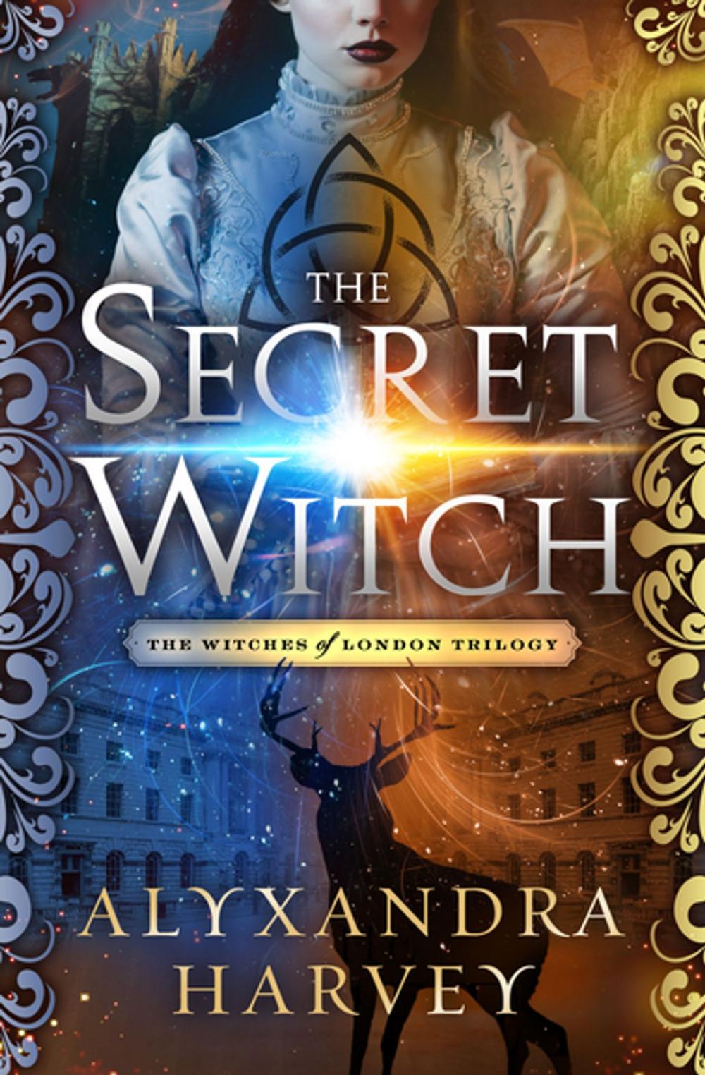 Big bigCover of The Secret Witch