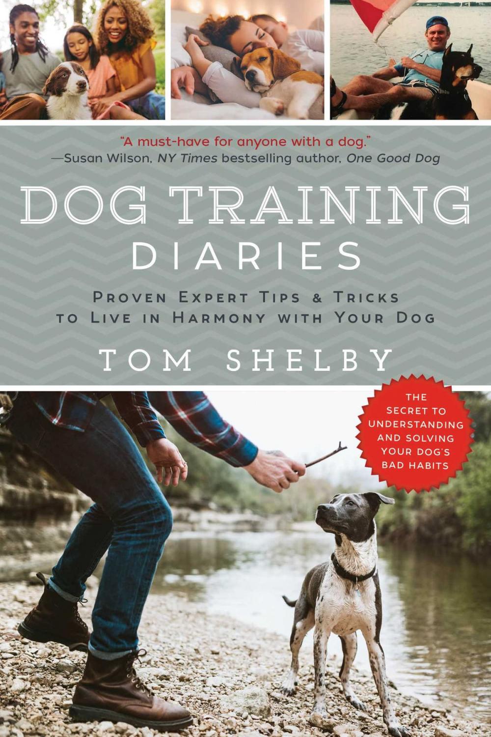 Big bigCover of Dog Training Diaries