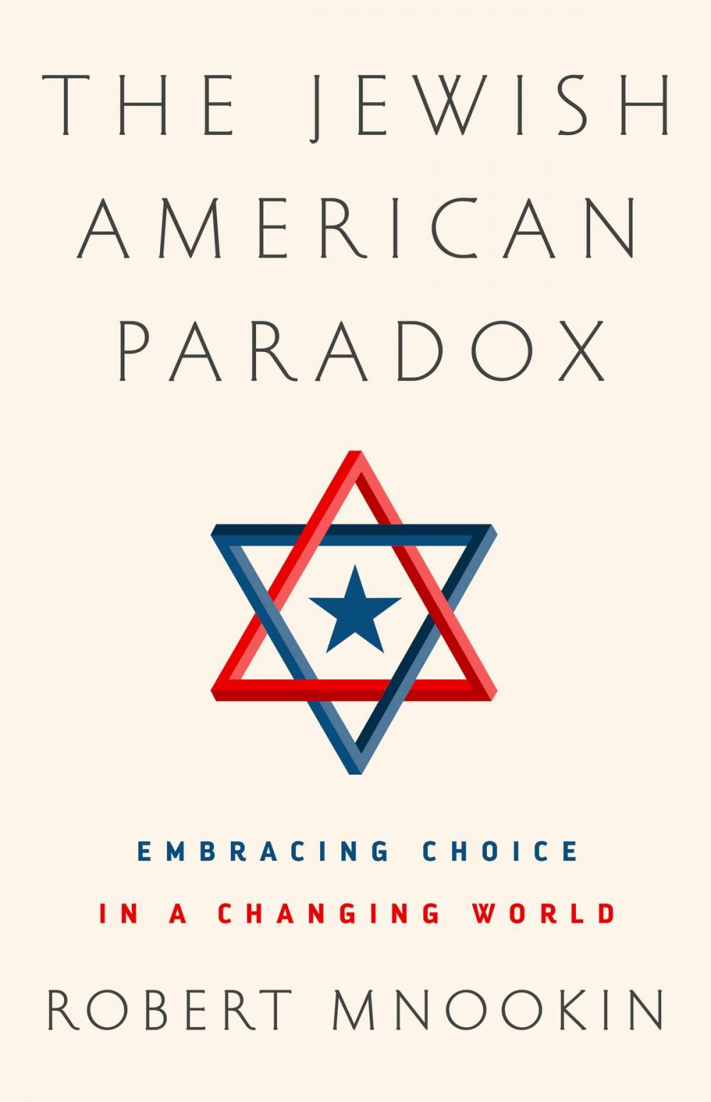Big bigCover of The Jewish American Paradox